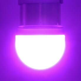 S25 LED シングル ルミナスルーセントバルブ マーカーランプ トラック マーカー 10個セット 2個セット S25 シングル LED 24V LED 電球 マーカー球 無極性 サイドマーカー BA15s G18 トラック マーカー LEDマーカーランプ LEDマーカー ホイールマーカー バックランプ