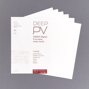| DEEP PV A4 gCALbg 6i6×1j CNWFbgp 297×210mm | TAKEO PAPER PRODUCTS fB[vs[C | }bg Жʈ