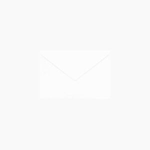 | PAPER PALETTE m3 p~X  _C\ 145×98mm 50 | TAKEO PAPER PRODUCTS y[p[pbg | zCg