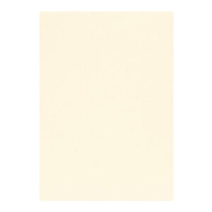 | PAPER PALETTE A4J[h tFU[c 䂫 p 297×210mm 100 | TAKEO PAPER PRODUCTS y[p[pbg | Ȏ\ 