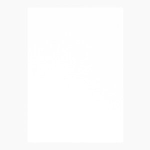 竹尾 PAPER PALETTE A4カード パミス 純白 角丸 297×210mm 100枚 | TAKEO PAPER PRODUCTS ペーパーパレット | 席次表 ホワイト