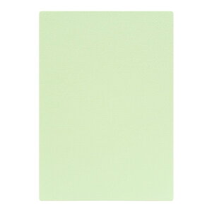 | PAPER PALETTE A4J[h }[Ch  p 297×210mm 100 | TAKEO PAPER PRODUCTS y[p[pbg | Ȏ\ 