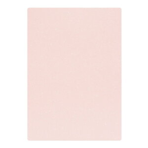 | PAPER PALETTE A4J[h tFU[c  p 297×210mm 100 | TAKEO PAPER PRODUCTS y[p[pbg | Ȏ\ sN