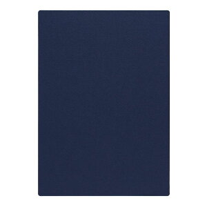 | PAPER PALETTE A4J[h }[Ch [C p 297×210mm 100 | TAKEO PAPER PRODUCTS y[p[pbg | Ȏ\ lCr[