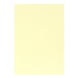 | PAPER PALETTE A4J[h }[Ch 뉩 p 297×210mm 100 | TAKEO PAPER PRODUCTS y[p[pbg | Ȏ\