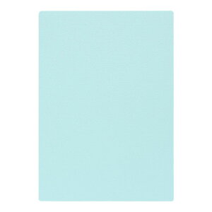 | PAPER PALETTE A4J[h }[Ch ACX p 297×210mm 100 | TAKEO PAPER PRODUCTS y[p[pbg | Ȏ\ u[