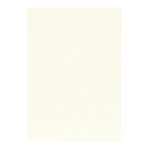 | PAPER PALETTE A4J[h EV} Xm[zCg p 297×210mm 100 | TAKEO PAPER PRODUCTS y[p[pbg | Ȏ\ 