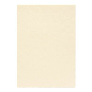| PAPER PALETTE A4J[h ]ˏ ͂  p 297×210mm 100 | TAKEO PAPER PRODUCTS y[p[pbg | Ȏ\ N[