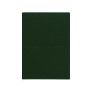 | PAPER PALETTE A5J[h rIg[v tHXgO[ ؉ p 210×150mm 100/10 | TAKEO PAPER PRODUCTS y[p[pbg | O[