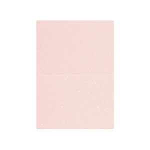 | PAPER PALETTE A5J[h tFU[c  ؉ p 210×150mm 100 | TAKEO PAPER PRODUCTS y[p[pbg | sN
