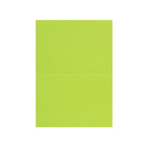 | PAPER PALETTE A5J[h }[Ch  ؉ p 210×150mm 100 | TAKEO PAPER PRODUCTS y[p[pbg | 