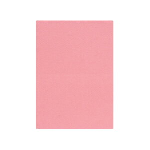 | PAPER PALETTE A5J[h }[Ch R[ ؉ p 210×150mm 100 | TAKEO PAPER PRODUCTS y[p[pbg | IW