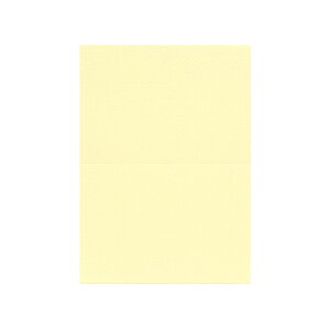 | PAPER PALETTE A5J[h }[Ch 뉩 ؉ p 210×150mm 100 | TAKEO PAPER PRODUCTS y[p[pbg | N[