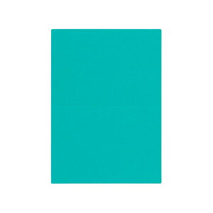 | PAPER PALETTE A5J[h }[Ch ^[RCY ؉ p 210×150mm 100 | TAKEO PAPER PRODUCTS y[p[pbg | O[