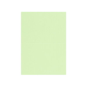 | PAPER PALETTE A5J[h }[Ch  ؉ p 210×150mm 100/10 | TAKEO PAPER PRODUCTS y[p[pbg | 