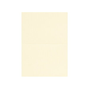 | PAPER PALETTE A5J[h tFU[c 䂫 ؉ p 210×150mm 100 | TAKEO PAPER PRODUCTS y[p[pbg | 