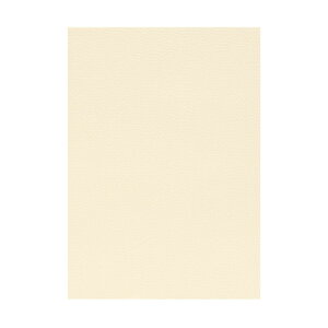 | PAPER PALETTE B5 ]ˏ ͂  257×182mm 100 | TAKEO PAPER PRODUCTS y[p[pbg | N[
