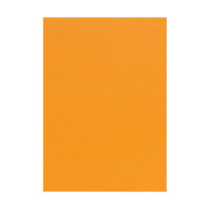 | PAPER PALETTE B5 ^g N-56iIWj 257×182mm 100 | TAKEO PAPER PRODUCTS y[p[pbg |