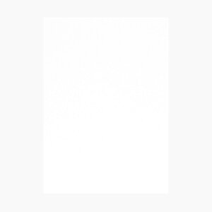 | PAPER PALETTE B5 y[ Xm[zCg 257×182mm 100 | TAKEO PAPER PRODUCTS y[p[pbg | 