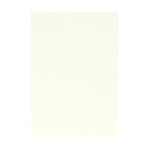 | PAPER PALETTE B5 p~X  257×182mm 100 | TAKEO PAPER PRODUCTS y[p[pbg | zCg