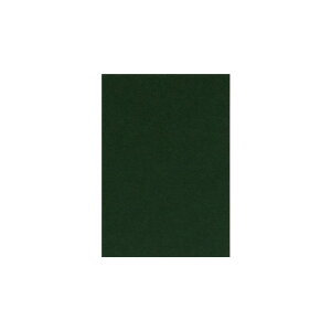 | PAPER PALETTE |XgJ[h rIg[v tHXgO[ ͂ 150×105mm 100 | TAKEO PAPER PRODUCTS y[p[pbg | O[