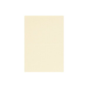 | PAPER PALETTE B6J[h ]ˏ ͂  ؉ 180×125mm 100 | TAKEO PAPER PRODUCTS y[p[pbg | m3ɓ