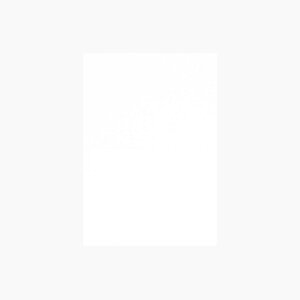 | PAPER PALETTE B6J[h y[ Xm[zCg ؉ 180×125mm 100 | TAKEO PAPER PRODUCTS y[p[pbg | m3ɓ 