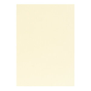 | PAPER PALETTE A4 Ax[ i` 290×205mm 10 | TAKEO PAPER PRODUCTS y[p[pbg | Ȏ\ j[ N[