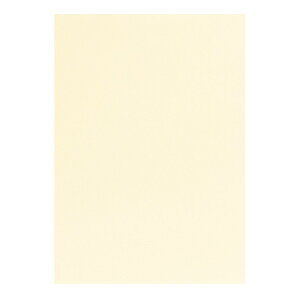 | PAPER PALETTE A4 tFU[c 䂫 10