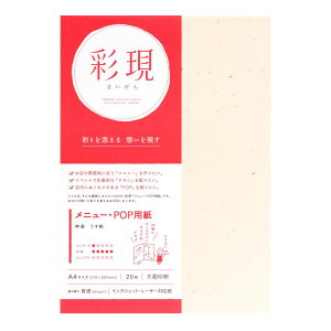 | ʌ j[EPOPp _y  CNWFbgE[U[Ή A4 210×297mm 20 80.0g/ | TAKEO PAPER PRODUCTS TCQ | a