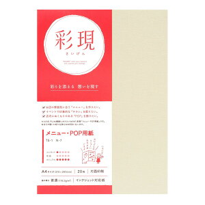 | ʌ j[EPOPp TS-1 N-7 CNWFbgp A4 210×297mm 20 116.3g/ | TAKEO PAPER PRODUCTS TCQ | G{X