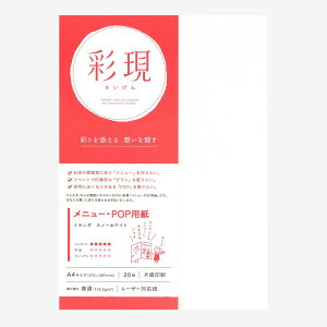 | ʌ j[EPOPp ~_ Xm[zCg [U[v^p A4 210×297mm 20 116.3g/ | TAKEO PAPER PRODUCTS TCQ | 