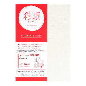 | ʌ j[EPOPp V  CNWFbgp A4 210×297mm 20 127.9g/ | TAKEO PAPER PRODUCTS TCQ | a