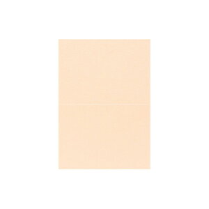 | PAPER PALETTE A5 X^[h[ R[ J[h ؉ 210×148mm 10| TAKEO PAPER PRODUCTS y[p[pbg |  sN