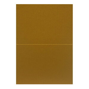 | PAPER PALETTE A4 X^[h[ AeB[NS[h ؉ 297×210mm 10 | TAKEO PAPER PRODUCTS y[p[pbg | Ȏ\  