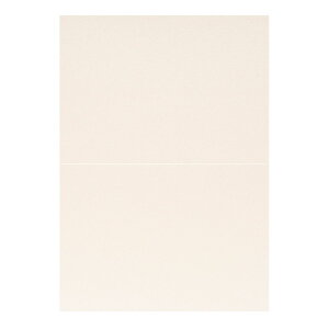 | PAPER PALETTE A4 X^[h[ Ip[ ؉ 297×210mm 10 | TAKEO PAPER PRODUCTS y[p[pbg | Ȏ\ 