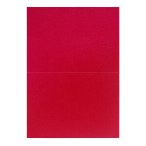 | PAPER PALETTE A4 X^[h[ r[ ؉ 297×210mm 10 | TAKEO PAPER PRODUCTS y[p[pbg | Ȏ\  bh