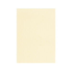 | PAPER PALETTE A5 tFU[c 䂫 290×205mm 10 | TAKEO PAPER PRODUCTS y[p[pbg |  