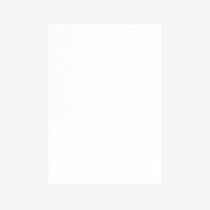 | PAPER PALETTE A5 T[u Xm[zCg 290×205mm 10 | TAKEO PAPER PRODUCTS y[p[pbg |  