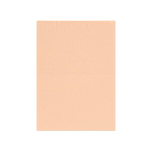 | PAPER PALETTE A5J[h }[Ch  ؉ p 210×150mm 100 | TAKEO PAPER PRODUCTS y[p[pbg | sN