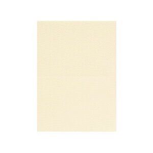 | PAPER PALETTE A5J[h ]ˏ ͂  ؉ p 210×150mm 100 | TAKEO PAPER PRODUCTS y[p[pbg | N[