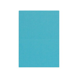 | PAPER PALETTE A5J[h }[Ch  ؉ p 210×150mm 100 | TAKEO PAPER PRODUCTS y[p[pbg | u[