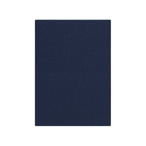 | PAPER PALETTE A5J[h }[Ch [C ؉ p 210×150mm 100/10 | TAKEO PAPER PRODUCTS y[p[pbg | 