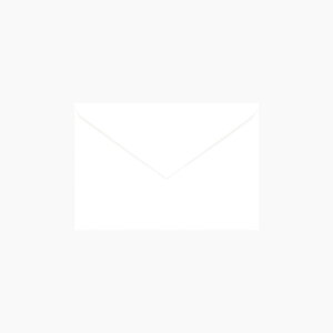 | PAPER PALETTE m2 ~lbZX }LV}zCg _C\ 163×112mm 50 | TAKEO PAPER PRODUCTS y[p[pbg | 