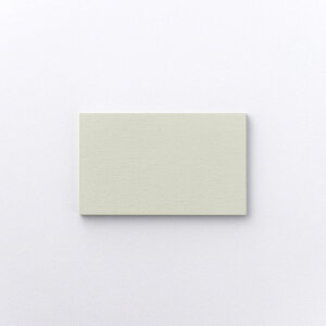 | STANDARD ~jJ[h Ax[ Z[WO[ h 91×55mm 10 | TAKEO PAPER PRODUCTS |