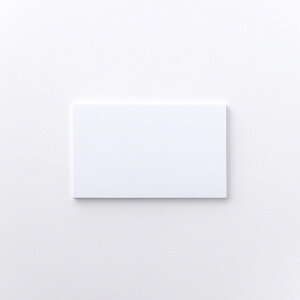 | STANDARD ~jJ[h Ax[ EgzCg h 91×55mm 10 | TAKEO PAPER PRODUCTS |