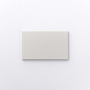 | STANDARD ~jJ[h Ax[ AbVO[ h 91×55mm 10 | TAKEO PAPER PRODUCTS |