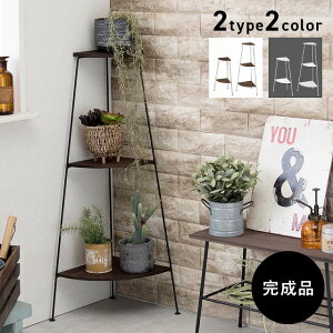 yzR[i[bN R[i[VFt i gݗĕsv  fBXvC [ fbhXy[X gC rO Q ϗtA zCg ubN 2i 3i t[X^