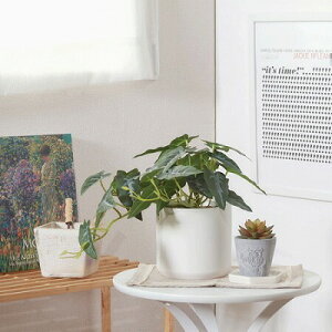 yzN[|tzyztFCNO[ AJVA Z~bN|bg ϗtA tFCN lHϗtA  CeA A j    lC C  rO 