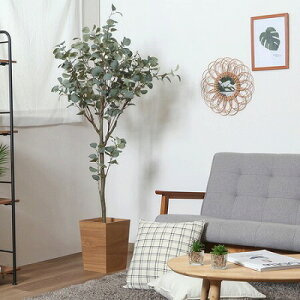 yztFCNO[ [J 150cm WCg ϗtA tFCN lHϗtA  CeA A j    lC C  rO ItBX  Vv 